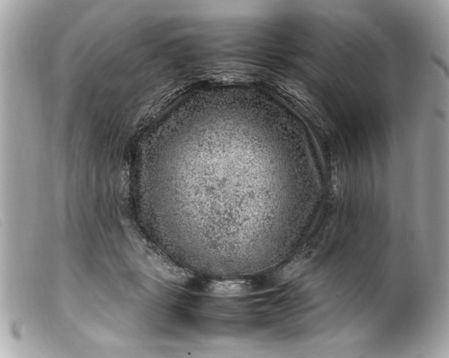 X0000099530461200805301443