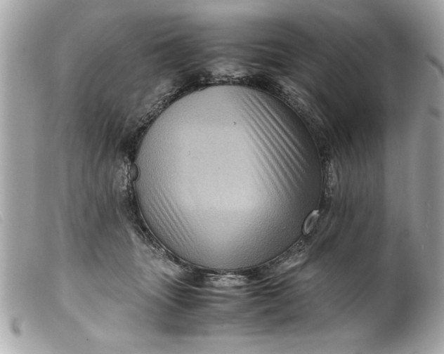 X0000099530463200805301443