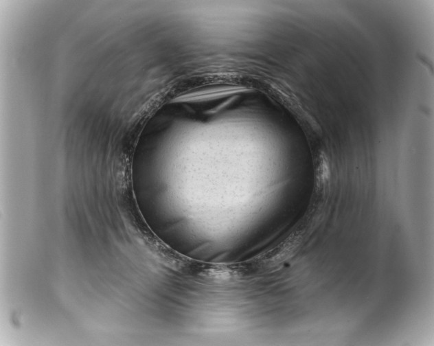 X0000099530464200805301443