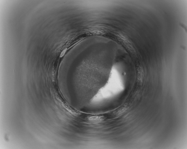 X0000099530465200805301443