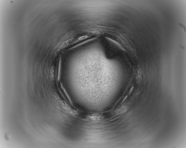 X0000099530466200805301443