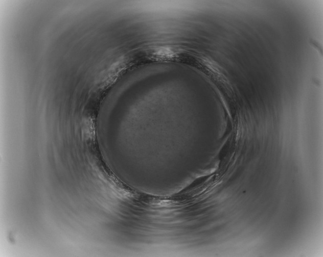 X0000099530467200805301443