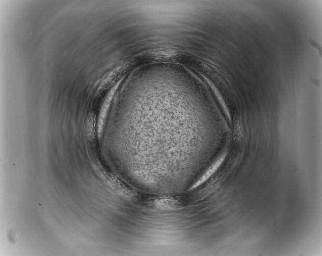 X0000099530468200805301443