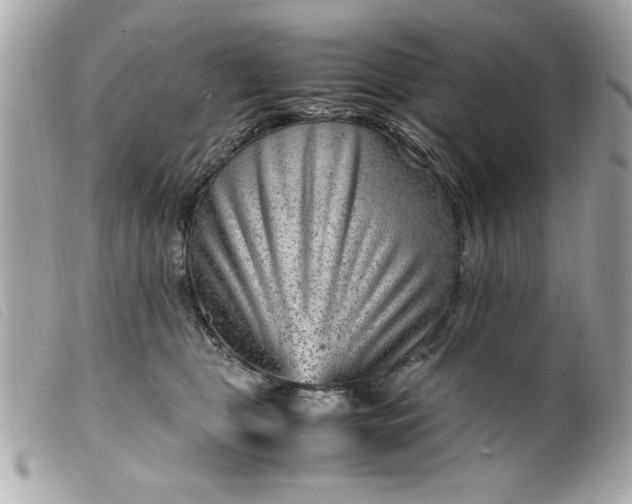 X0000099530469200805301443