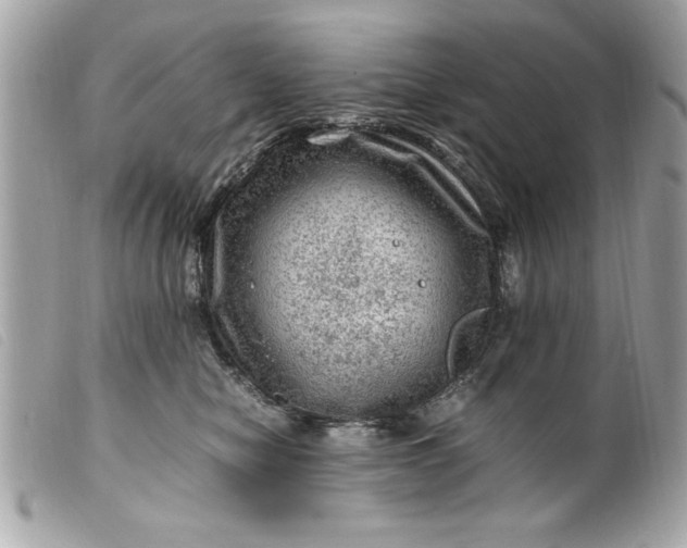 X0000099530470200805301443