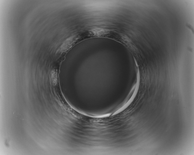 X0000099530471200805301443