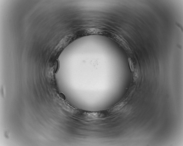 X0000099530473200805301444