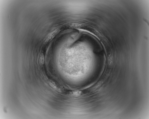 X0000099530474200805301444