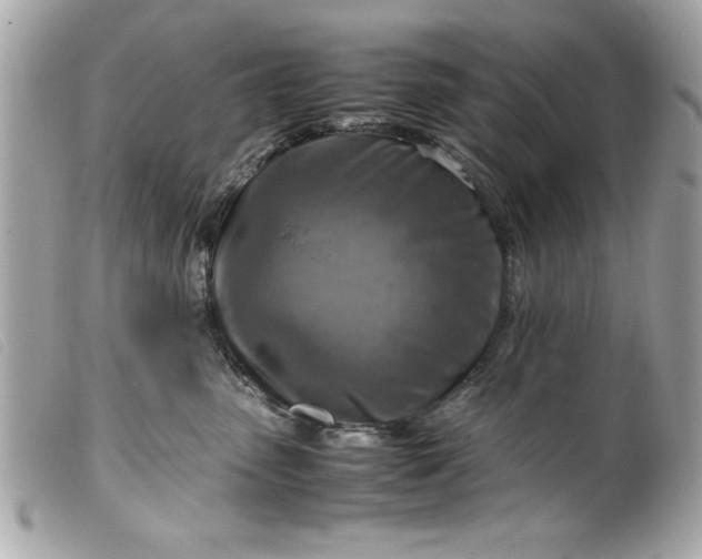 X0000099530475200805301444