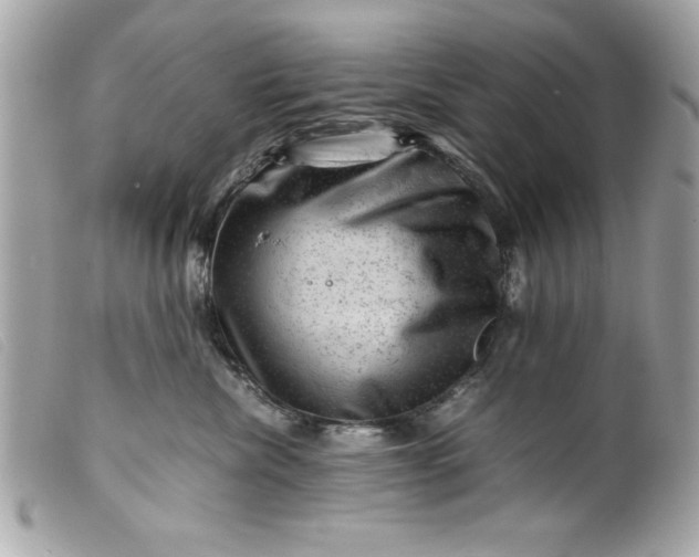 X0000099530476200805301444