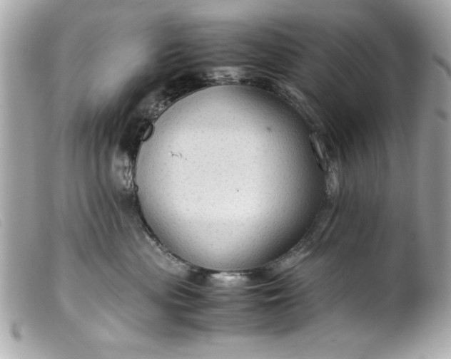 X0000099530477200805301444