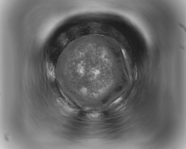 X0000099530479200805301444