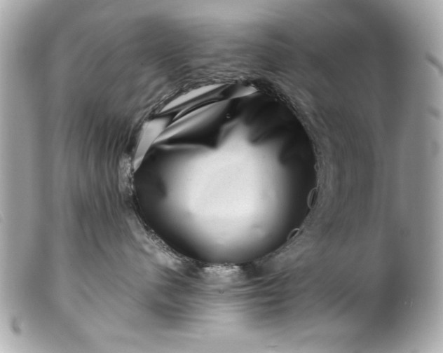 X0000099530480200805301444