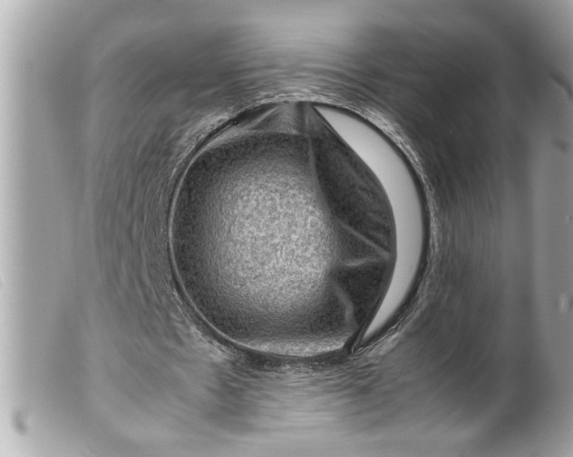 X0000099530481200805301443