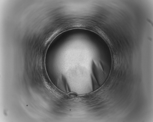 X0000099530482200805301443