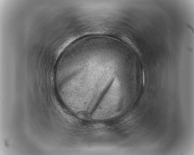 X0000099530483200805301443