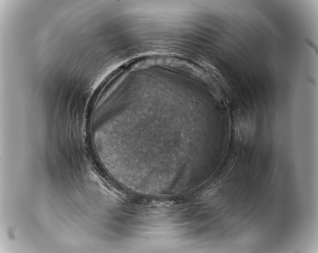 X0000099530484200805301443