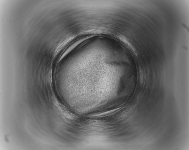 X0000099530486200805301443