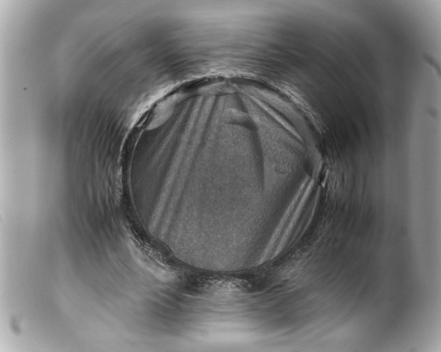 X0000099530488200805301443