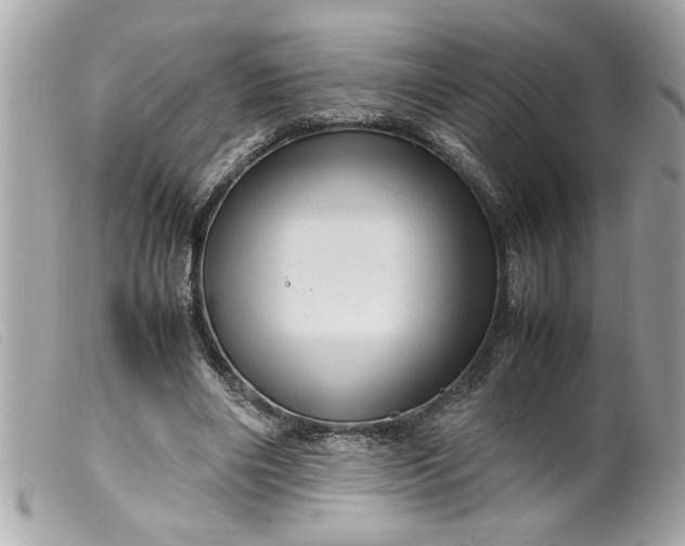 X0000099530490200805301443