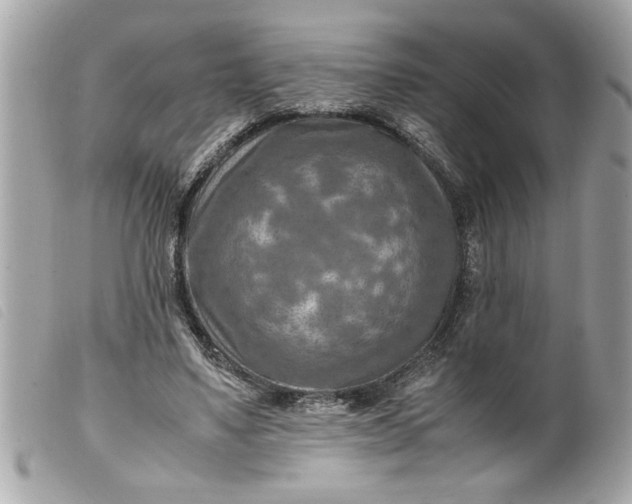 X0000099530491200805301443