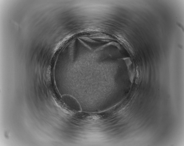 X0000099530492200805301443