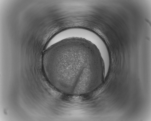 X0000099530493200805301443