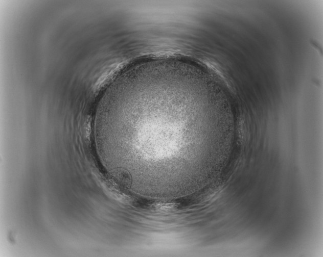 X0000099530495200805301443