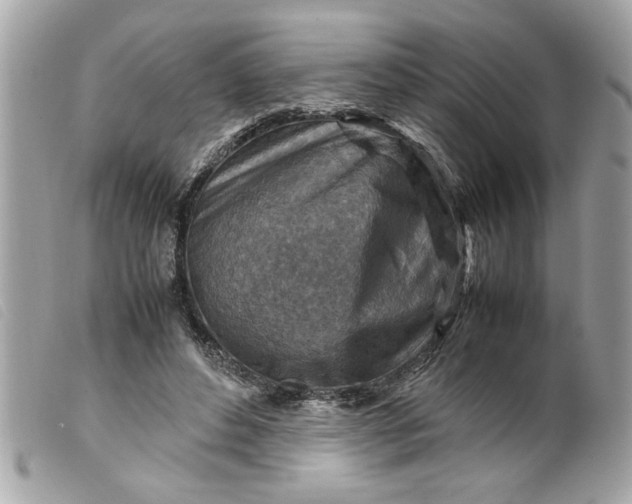 X0000099530496200805301443