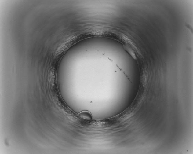 X0000099530497200805301443