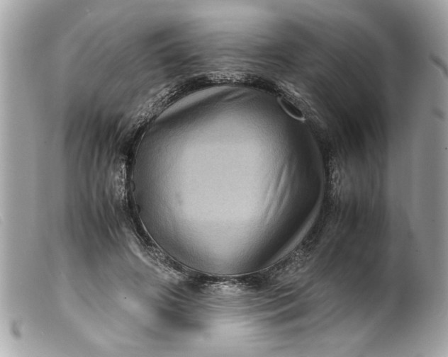 X0000099530498200805301443