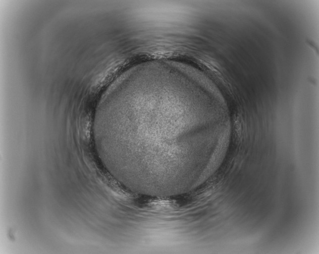 X0000099530499200805301443