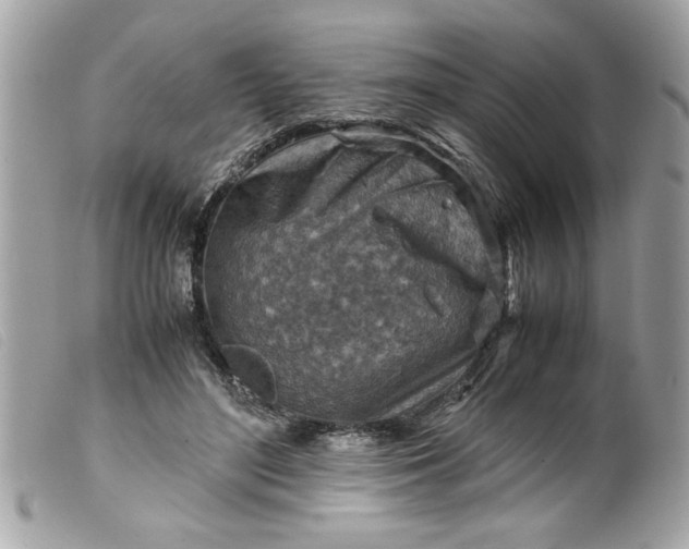 X0000099530500200805301443