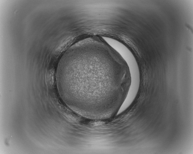 X0000099530501200805301443