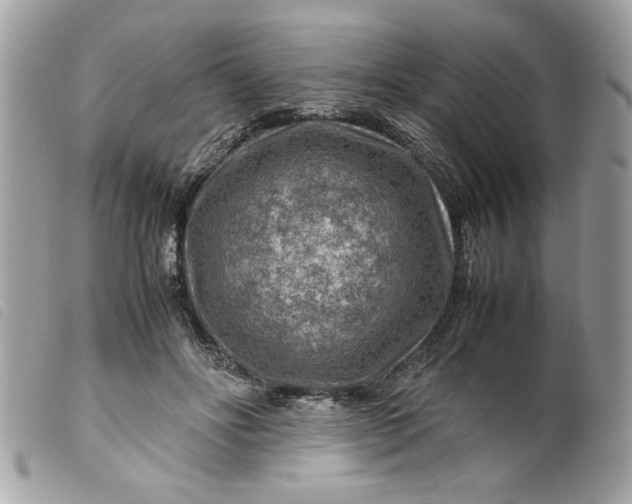 X0000099530502200805301443