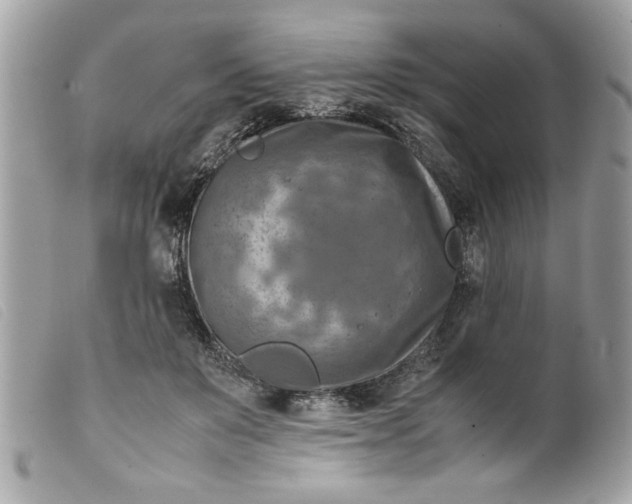 X0000099530503200805301443