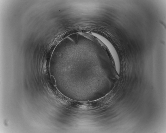 X0000099530504200805301443