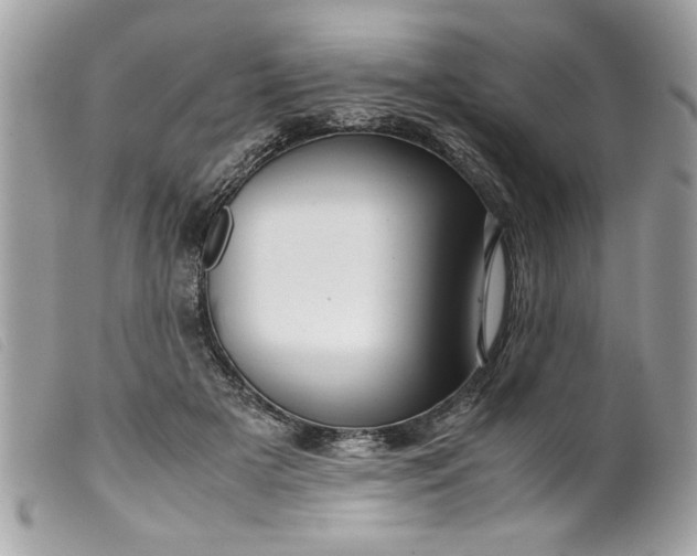 X0000099530505200805301443