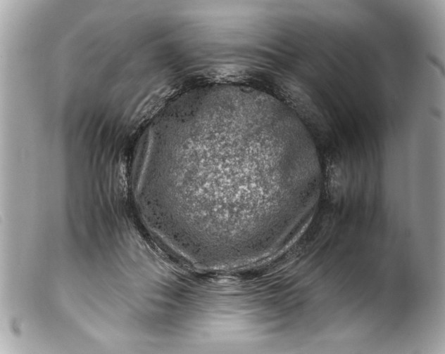 X0000099530506200805301443