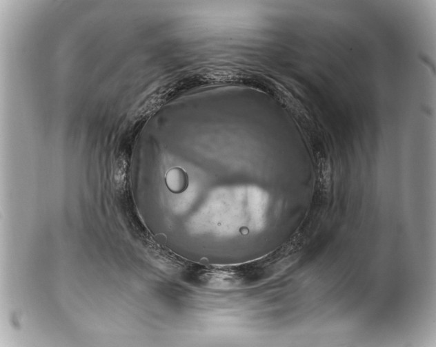 X0000099530507200805301443