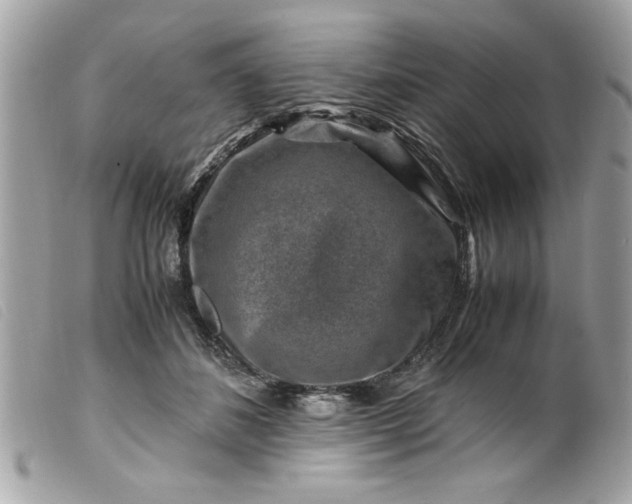 X0000099530508200805301443