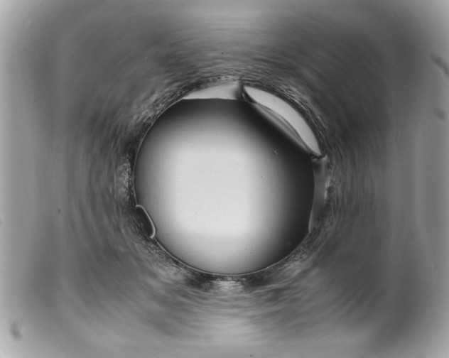 X0000099530509200805301443