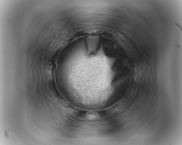 X0000099530510200805301443