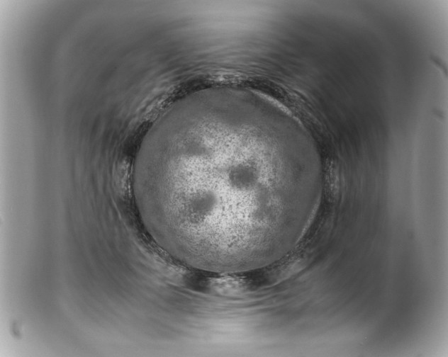 X0000099530511200805301443