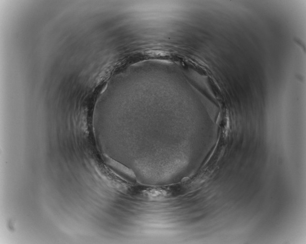 X0000099530512200805301443