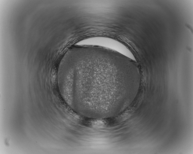 X0000099530513200805301443