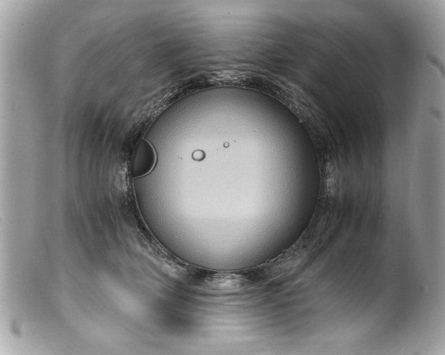 X0000099530514200805301443