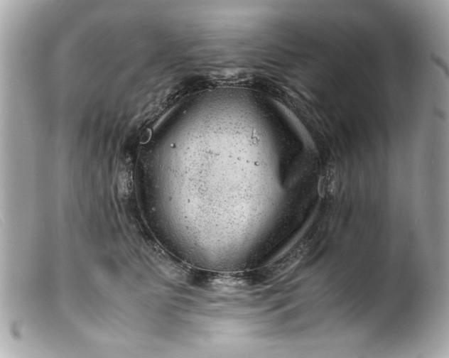 X0000099530515200805301443