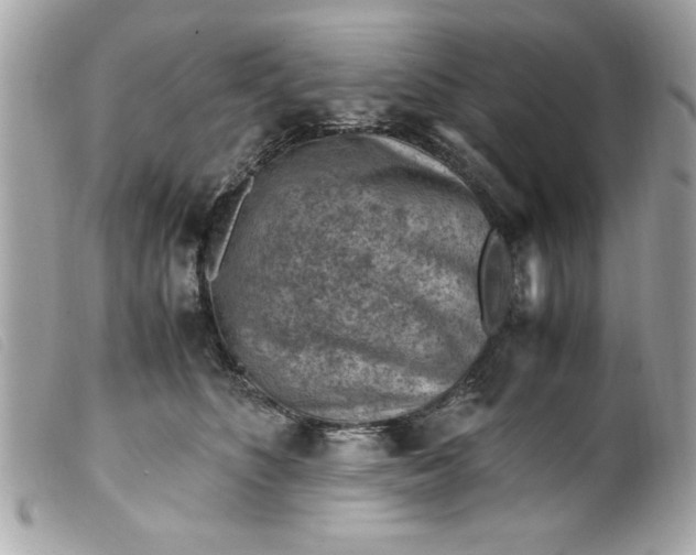 X0000099530516200805301443