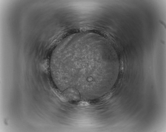 X0000099530519200805301443